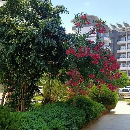 Oba Palace 100 M To The Beach Daire Alanya